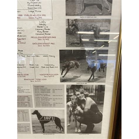 fast uk greyhound results|THE GREYHOUND DERBY CHART 1927.